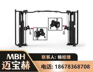 来宾大飞鸟训练器
