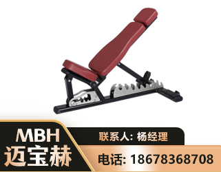 来宾可调哑铃椅