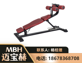 来宾可调腹肌板